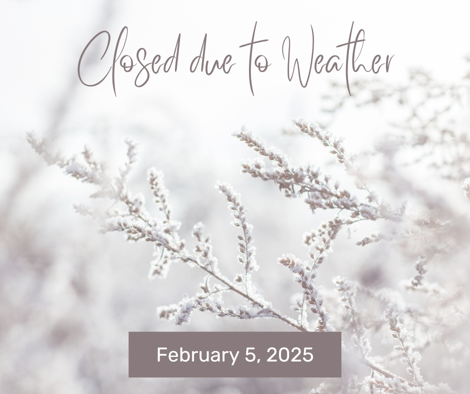 Closed due to the weather