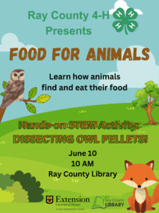MU Extension STEM Program: Dissecting Owl Pellets